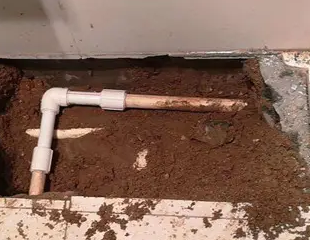 双峰测漏水哪家好