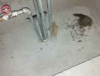 双峰卫生间测漏水价格明细