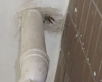 双峰漏水检测哪家好